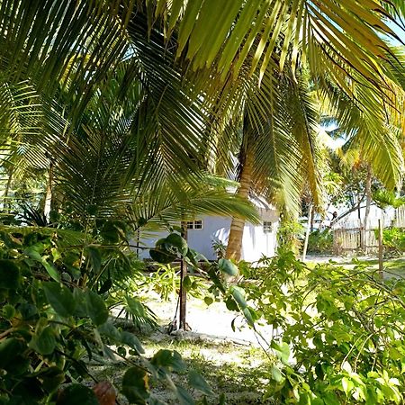 Chez Gigi - Eco Lodge ماهاهوال المظهر الخارجي الصورة