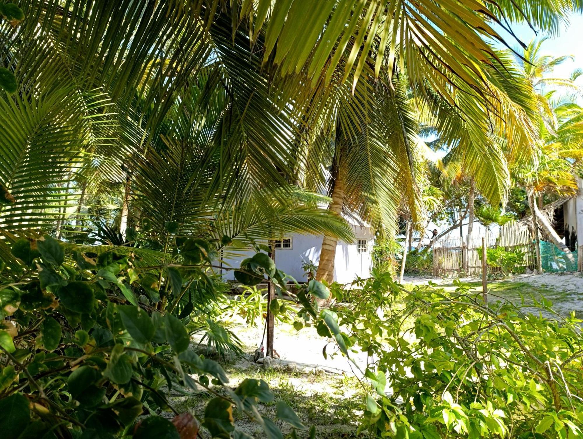 Chez Gigi - Eco Lodge ماهاهوال المظهر الخارجي الصورة