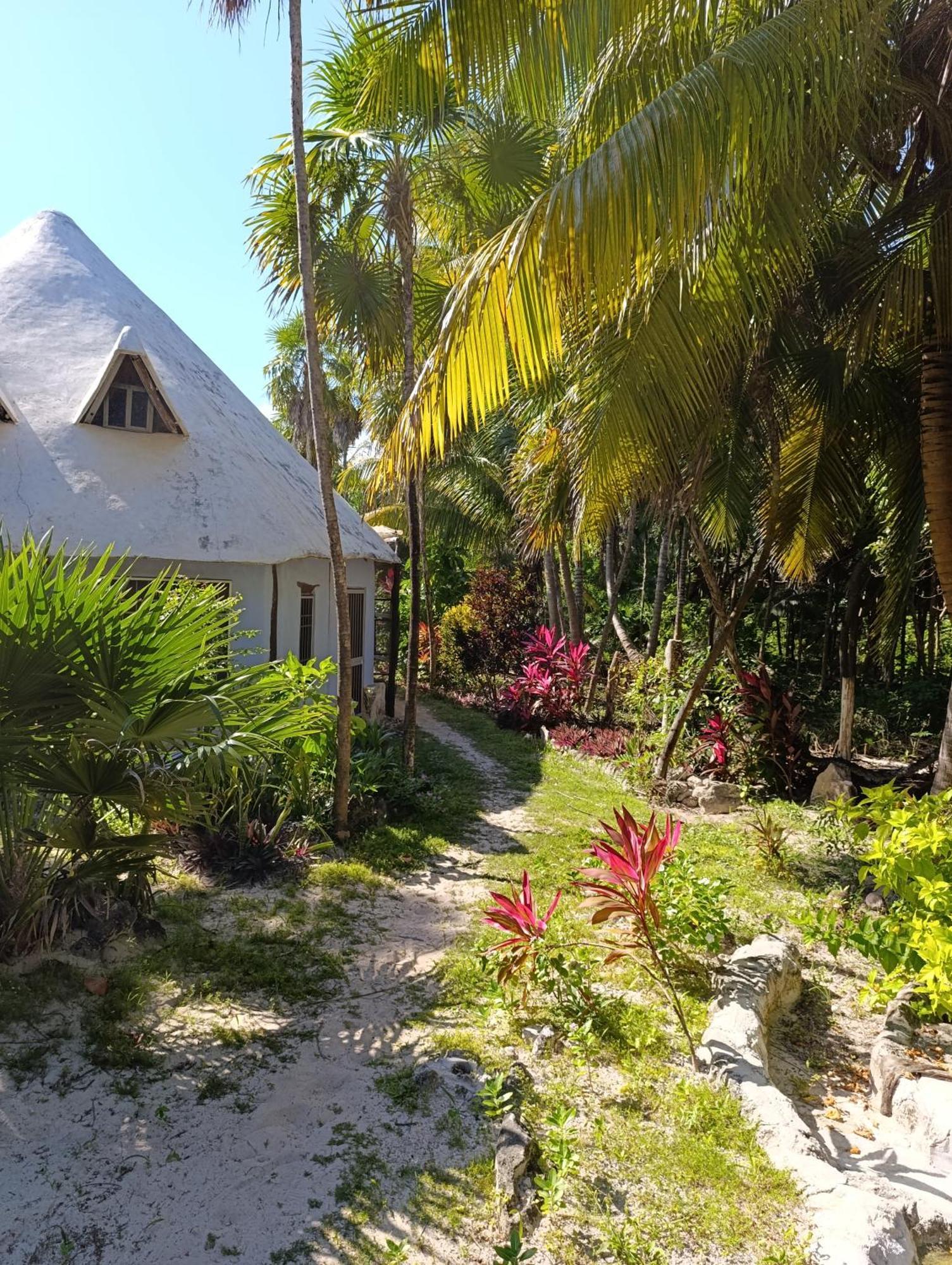 Chez Gigi - Eco Lodge ماهاهوال المظهر الخارجي الصورة