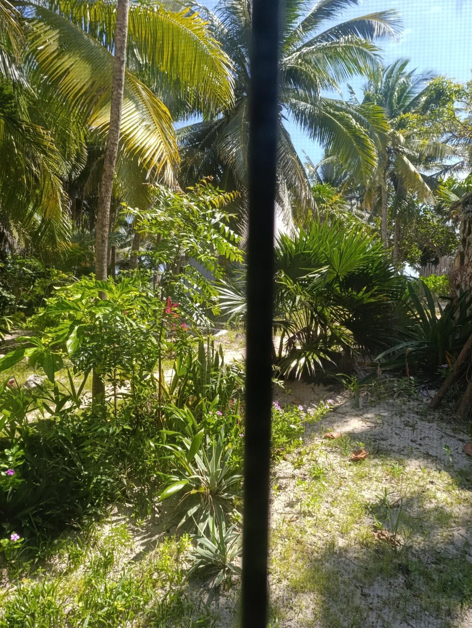 Chez Gigi - Eco Lodge ماهاهوال المظهر الخارجي الصورة